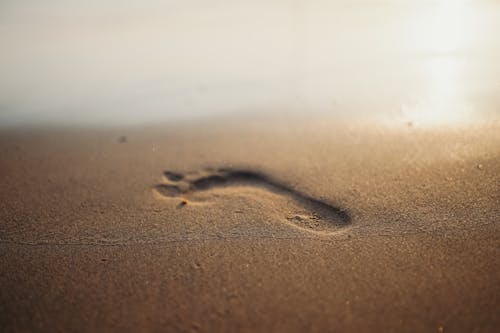 Δωρεάν στοκ φωτογραφιών με goa, άμμος, βήμα