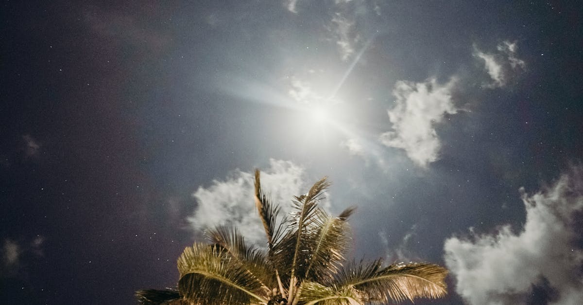 How to get into MIT from India after 12th Quora