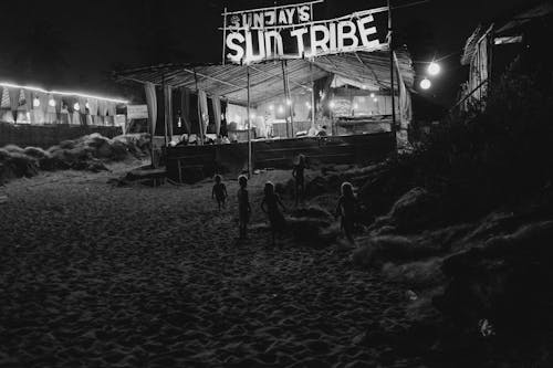 Free Imagine de stoc gratuită din alb și negru, baldachin, bar pe plajă Stock Photo