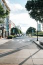 Contemporary city district with landscaped areas and modern residential buildings amidst green lush trees on sunny day