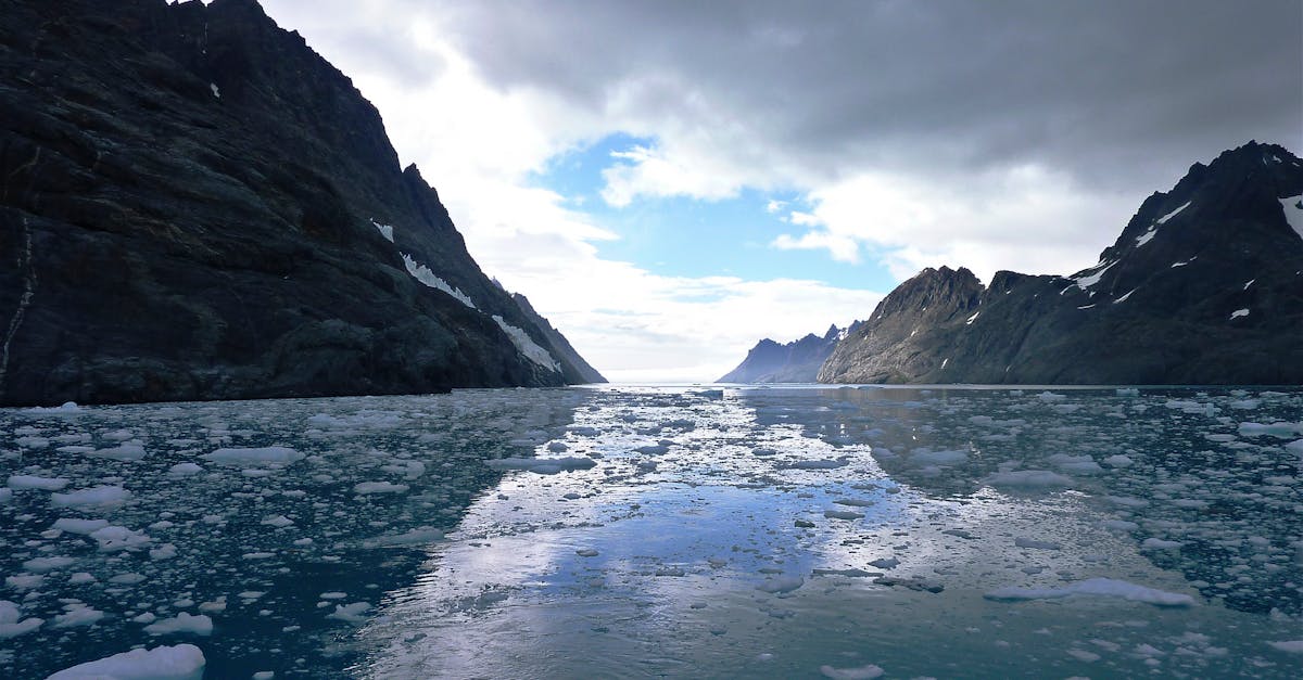 Affordable Travel to Antarctica Budget Tips