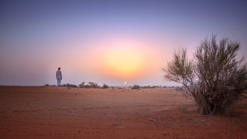 deserto, natura, 沙丘 的 免費圖庫相片