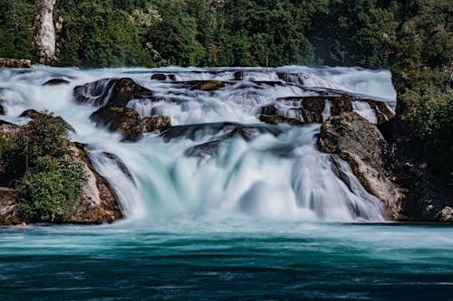 Foto profissional grátis de abismo, árvores, beleza natural