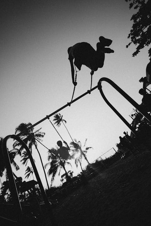 Monochrome Photo of Children Playing on Swing