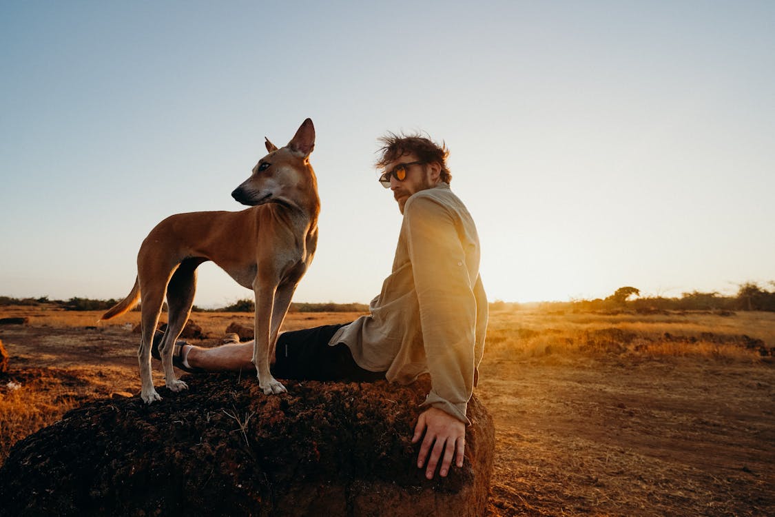 Free Photo of Man Sitting on Rock With His Brown Dog Stock Photo