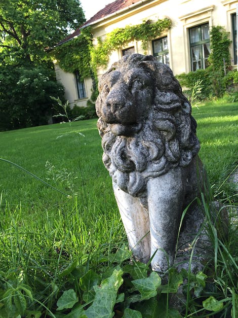 Free stock photo of lion, statue, stone