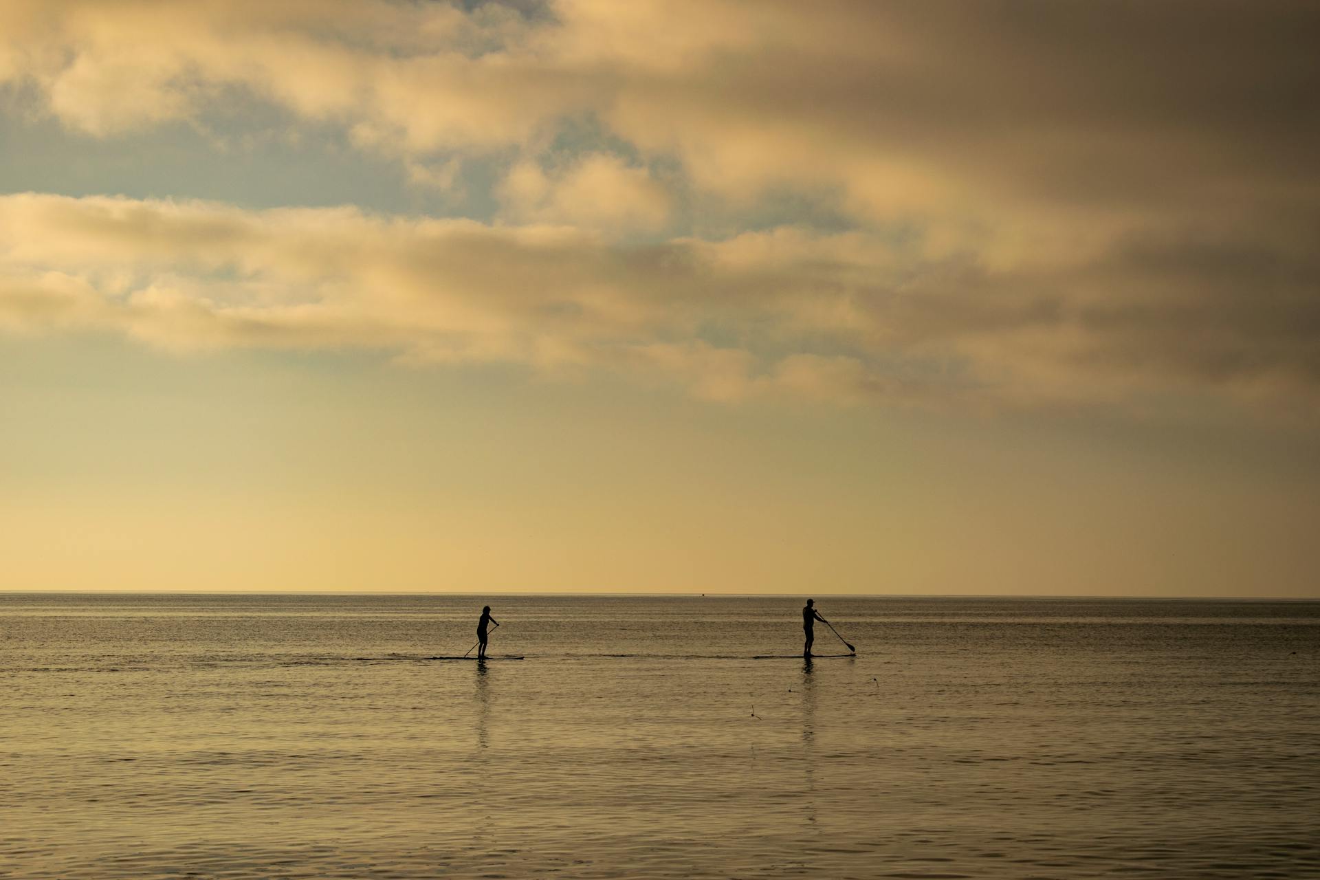 Side view of silhouettes of unrecognizable male athletes practicing stand up paddle boarding on sea water under cloudy sky in evening