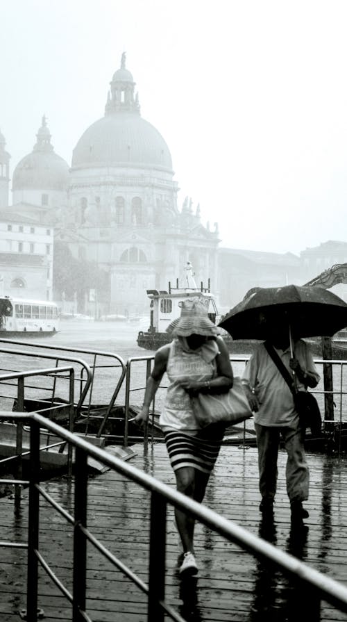 Základová fotografie zdarma na téma běhat, bw fotografie, déšť