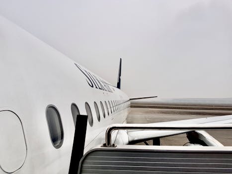 View of a commercial airliner docked at an airport gate with overcast skies.