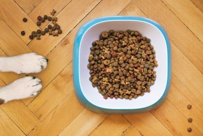 Outward Hound Fun Feeder Slo-Bowl