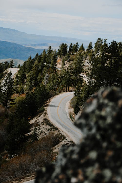 Photos gratuites de arbres, asphalte, autoroute