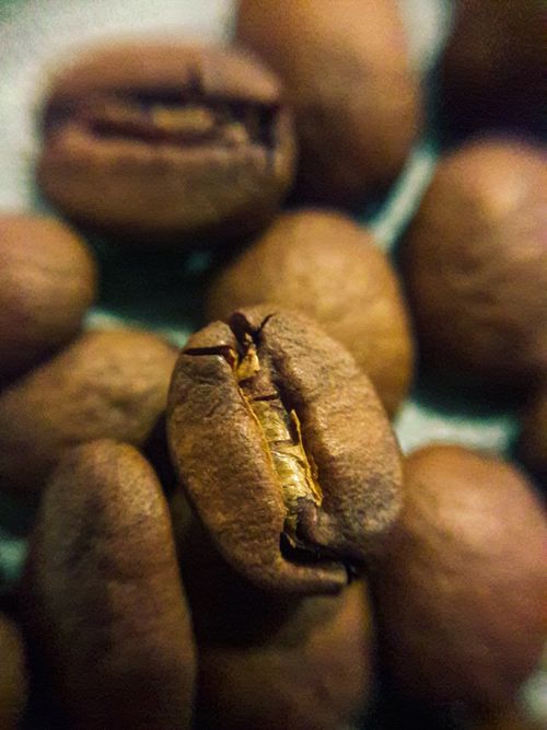 Free stock photo of black coffee, brewing coffee, coffee Stock Photo