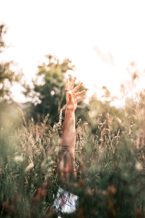 Free A Person with Hand Tattoo Lying on Grass Stock Photo