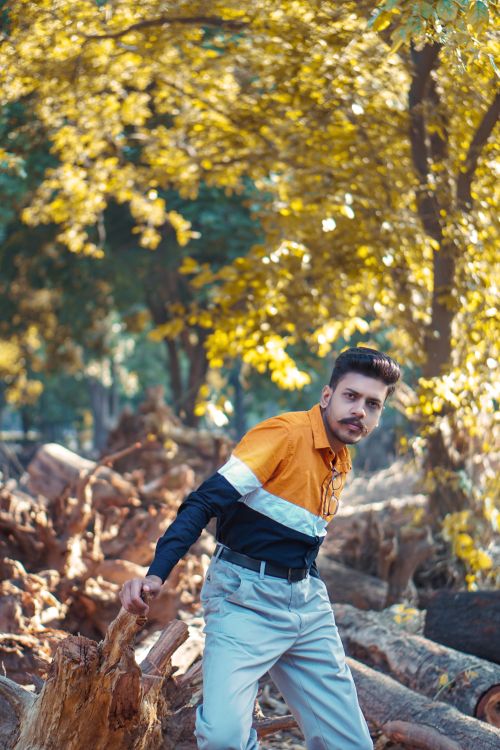 Free Portrait of a young man with a mustache leaning against a tree in a sunlit forest. Stock Photo