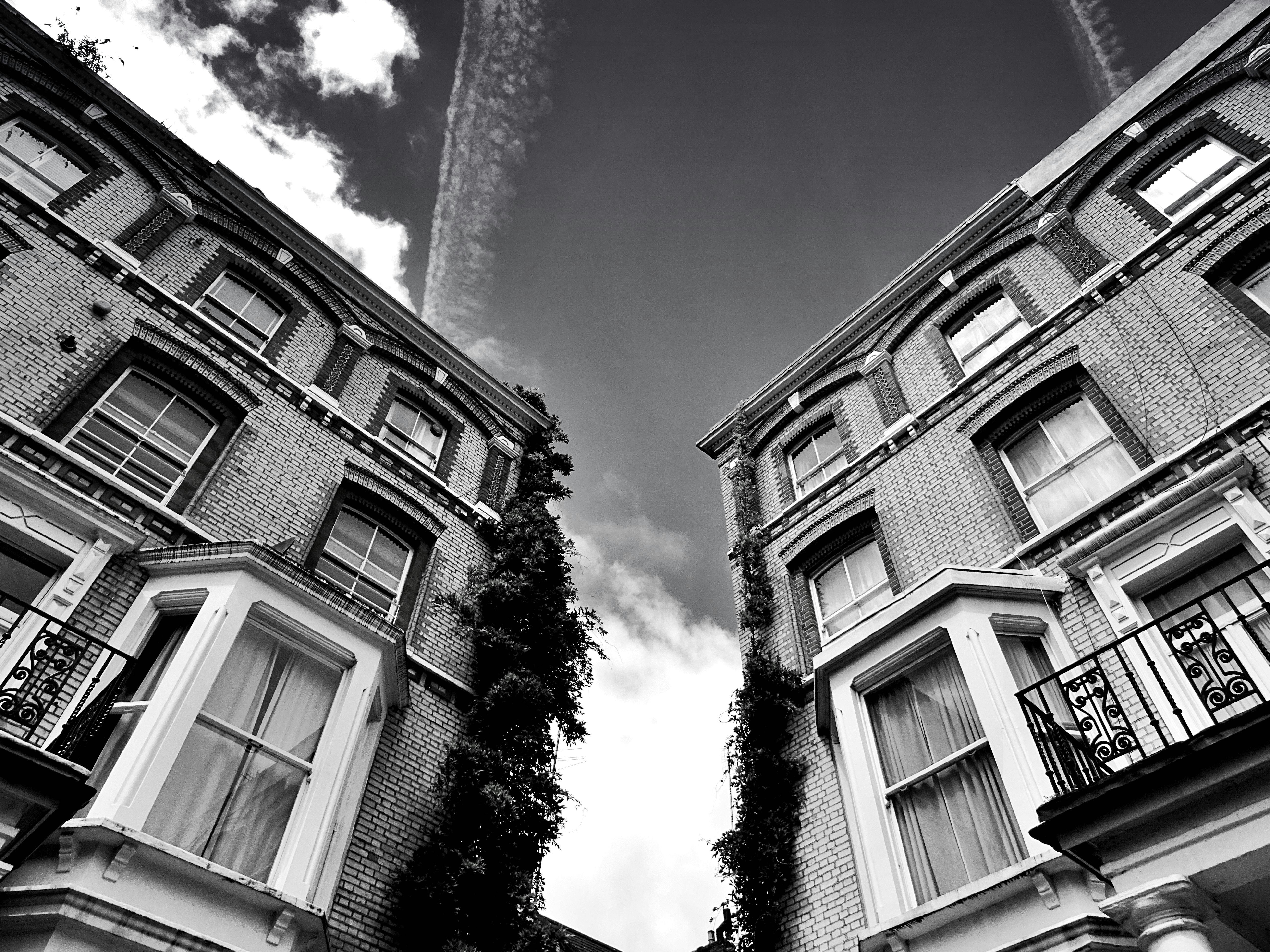 grayscale photo of high rise buildings