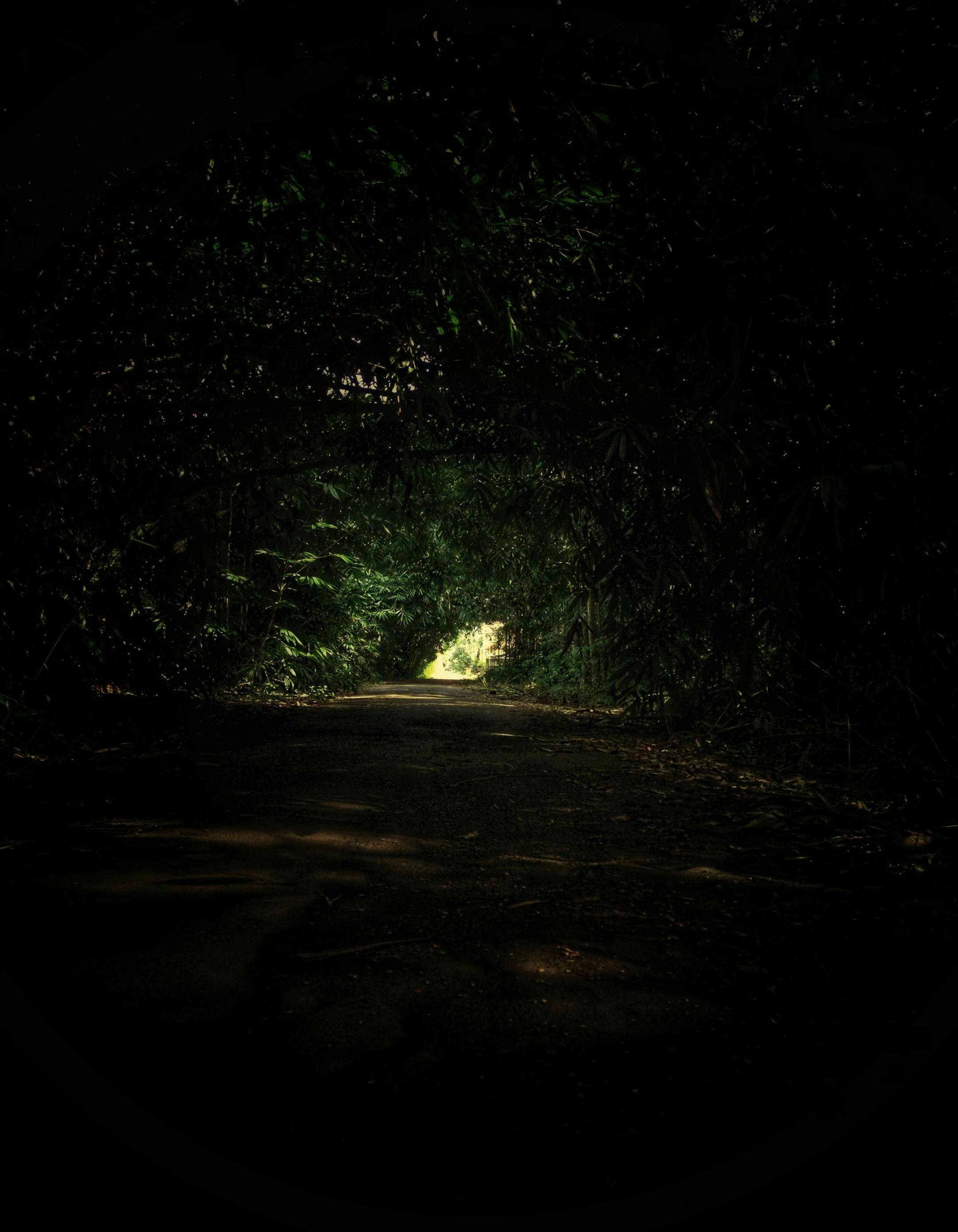 Person on a bus wearing a mask during respiratory virus season