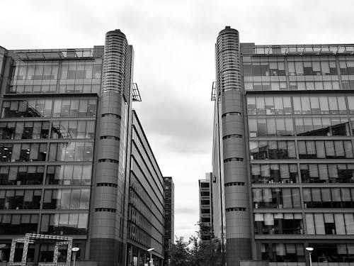 两栋建筑的灰度照片