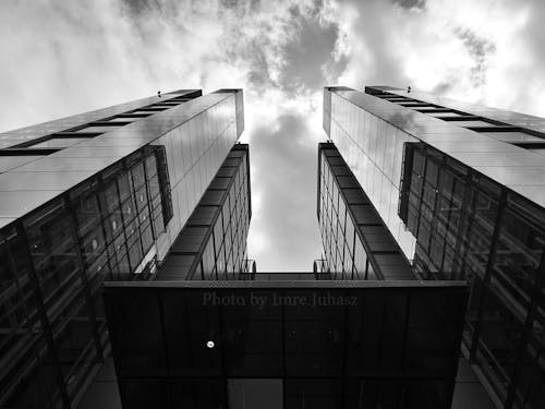 免费 高层建筑的灰度摄影 素材图片
