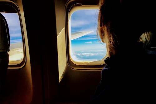Persona Que Viaja En Un Avión