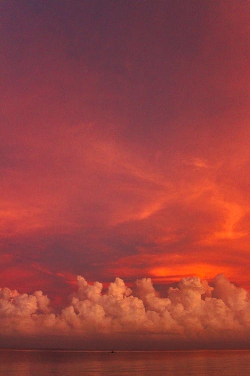 Gratis stockfoto met achtergrondlicht, cloudscape, dageraad