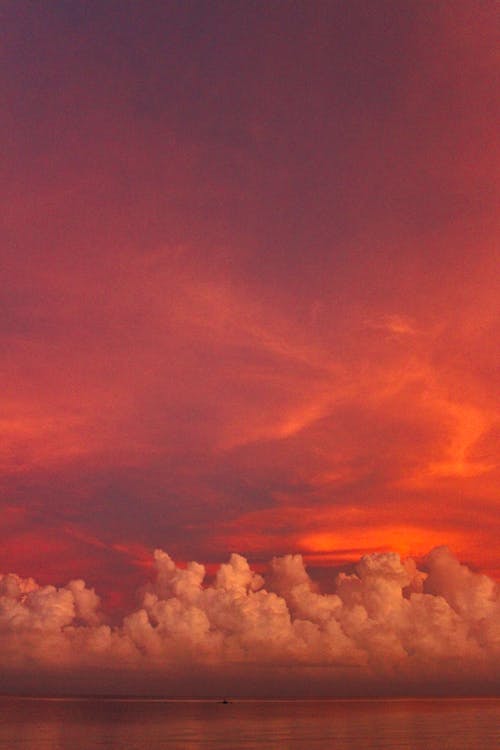 Orange and Gray Clouds during Sunset