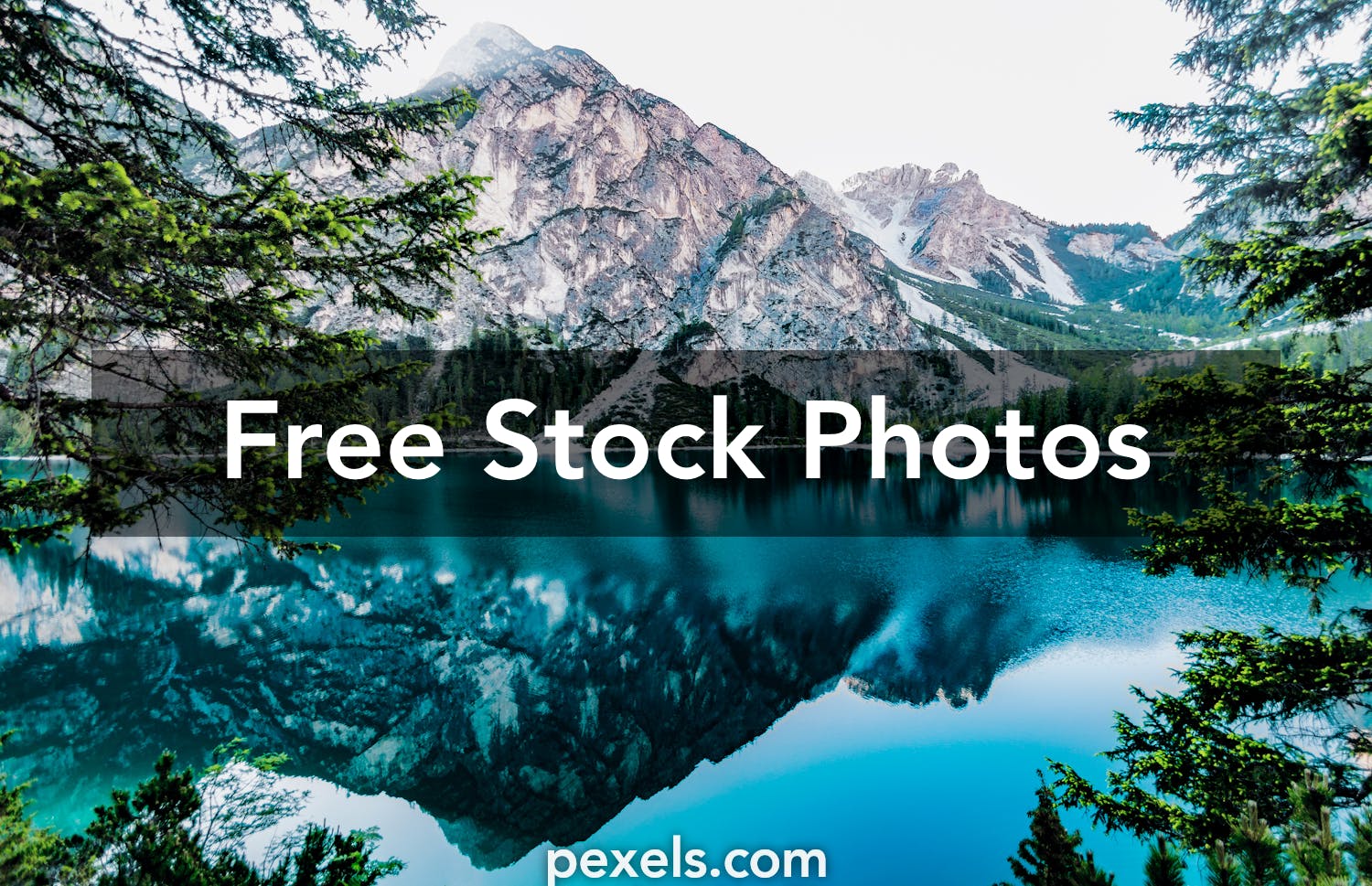Desktop Wallpaper Pexels Free Stock Photos