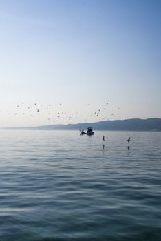 土耳其平静的海面上，一艘渔船与海鸥构成的宁静场景，捕捉到了海洋的宁静本质