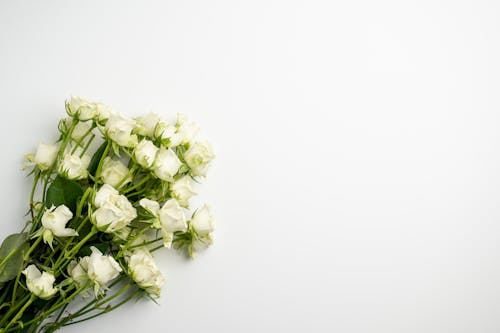 Fresh flowers placed on white table