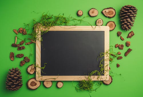 Top view of chalkboard surrounded by cones and dry bark with stump and moss arranged on green surface