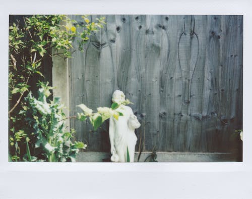 Безкоштовне стокове фото на тему «polaroid малюнок, статуя, Стіна»