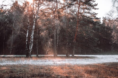 Bezpłatne Darmowe zdjęcie z galerii z brązowa trawa, krajobraz, malowniczy Zdjęcie z galerii