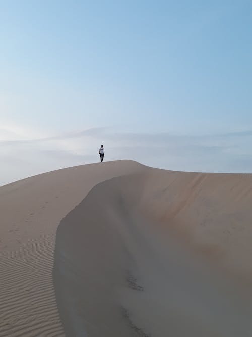 Anonymous tourist admire nature in sandy desert