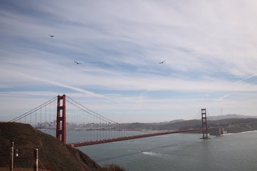 Free stock photo of bridge, california, gaviota