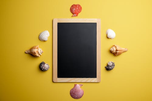 Composition of framed blackboard and seashells on yellow background