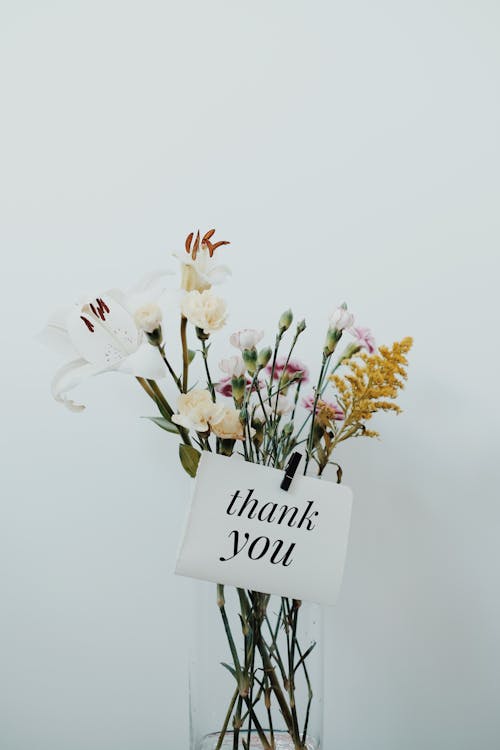 1 000 Best Thank You Photos 100 Free Download Pexels Stock Photos