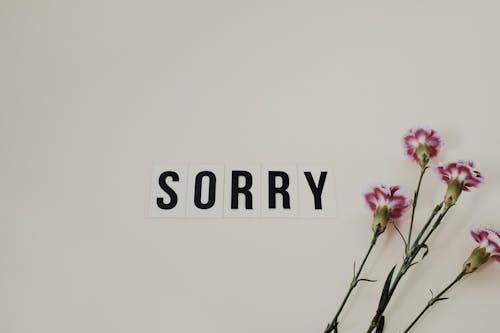 Word Sorry Beside Flowers on White Surface