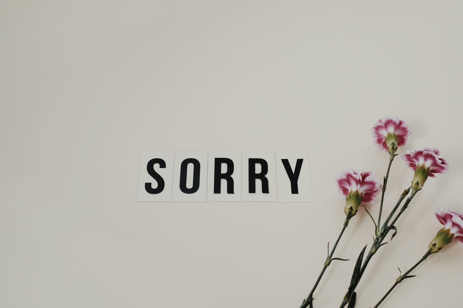 일본어 사과 표현 완벽 정리 (상황별)