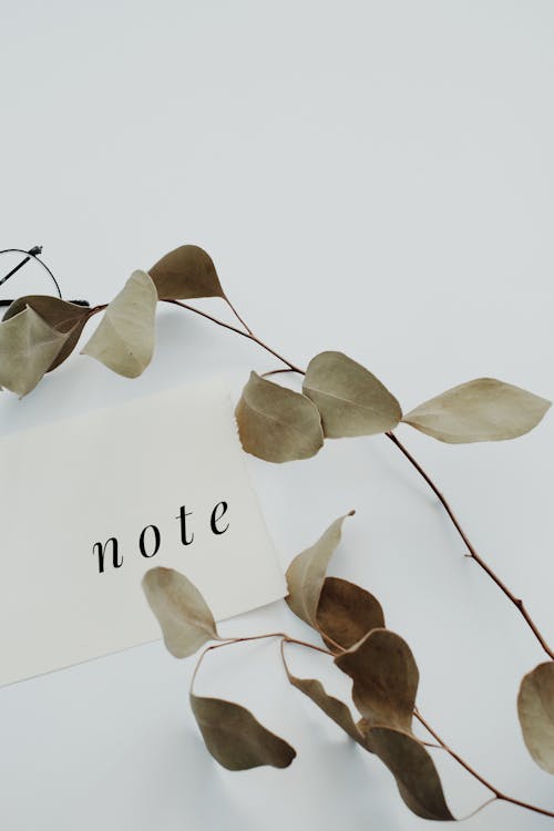 Free Word Note on a Paper Beside Leaves Stock Photo