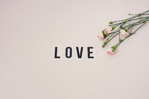 꽃, 메시지, 사랑의 무료 스톡 사진