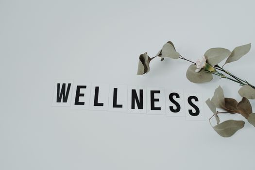 holistic wellness plan