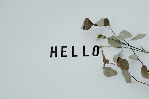 Free Word Hello Beside Leaves on White Surface Stock Photo