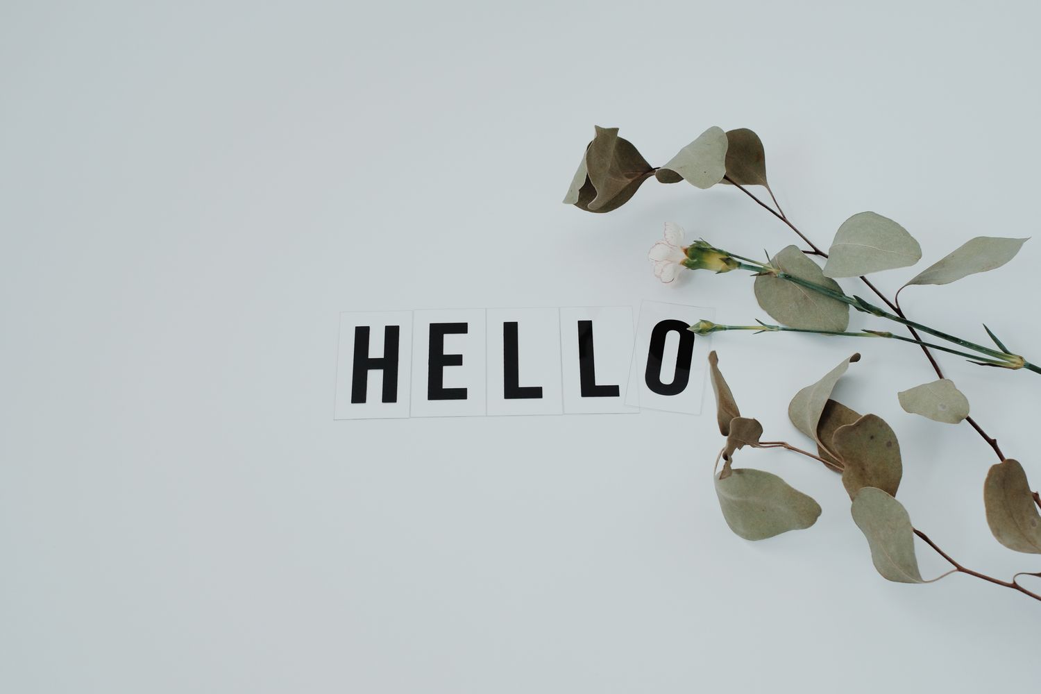 5,000+张最精彩的“Hello”图片 · 100%免费下载 · Pexels素材图片