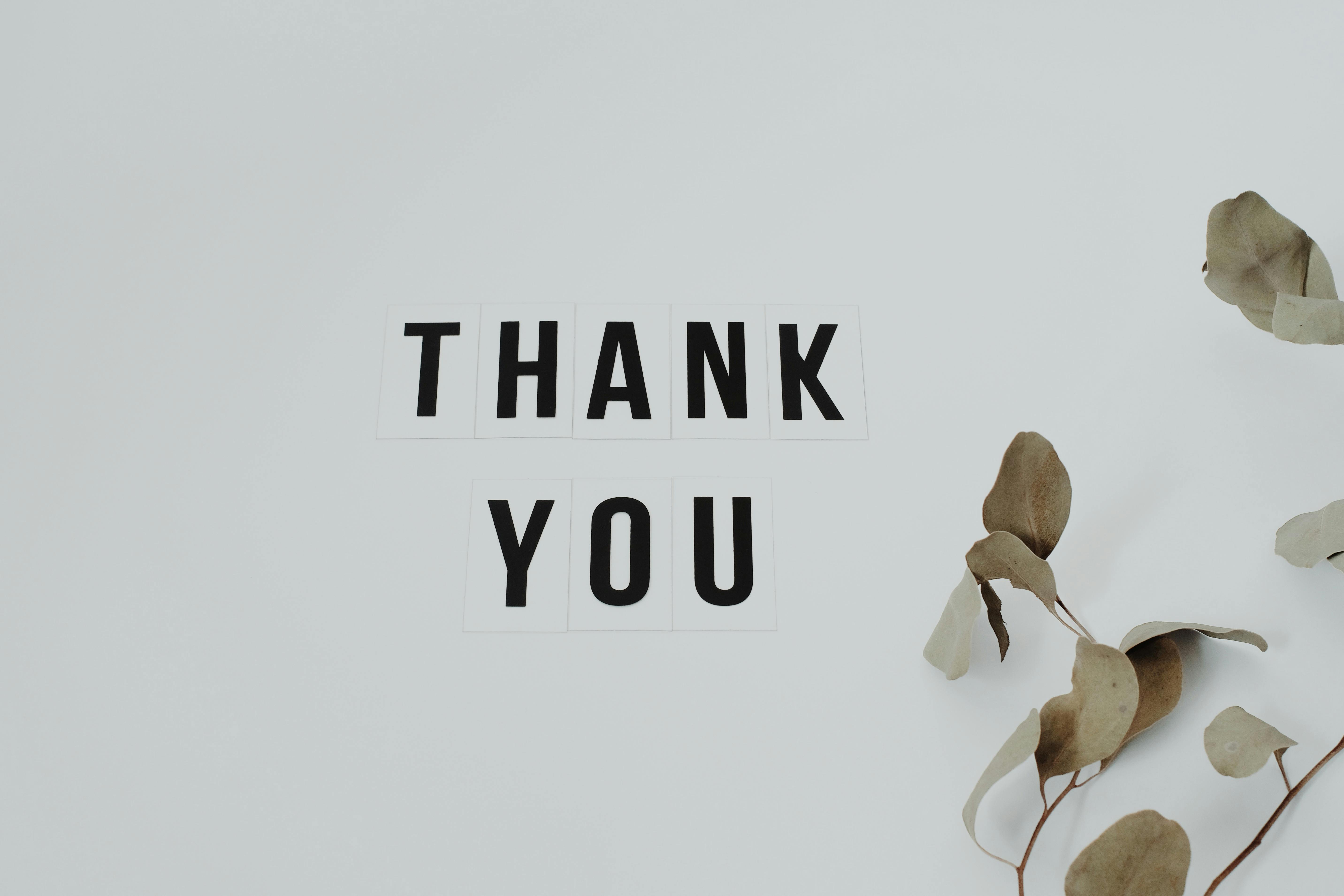 THANK YOU, YOU, COMMENT, THANK, CARD HD wallpaper | Pxfuel