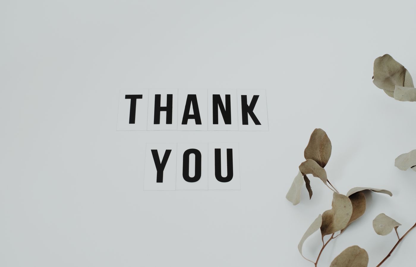 A minimalist thank you note with eucalyptus leaves, perfect for expressing gratitude.