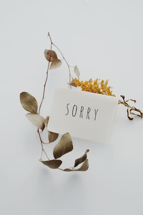 Free White Postcard with Sorry Message Stock Photo