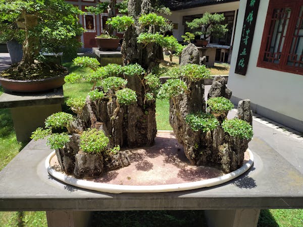 智能灌溉系统