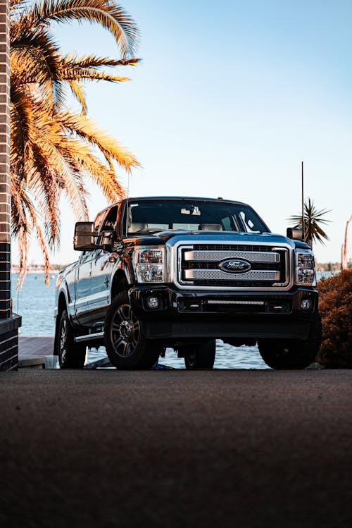 Ground level of modern pickup car parked on asphalt road near palm trees against cloudless blue sky