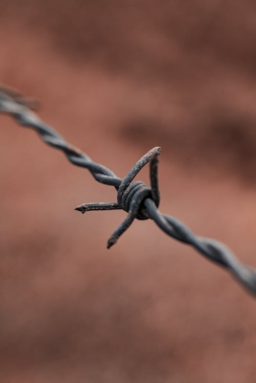 High angle detail of metal barbed wire fence against blurred background of field