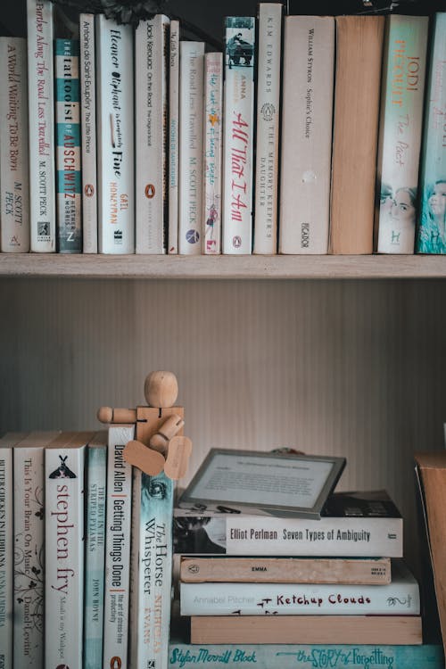 Free Books on the Wooden Shelves Stock Photo