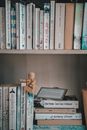 White and Blue Labeled Box on Brown Wooden Shelf